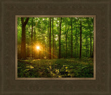 Load image into Gallery viewer, Sacred Morning