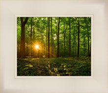 Load image into Gallery viewer, Sacred Morning