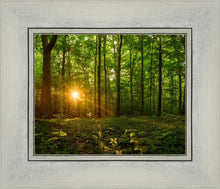 Load image into Gallery viewer, Sacred Morning