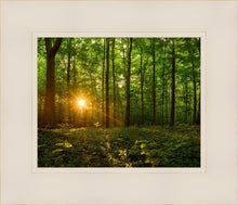 Load image into Gallery viewer, Sacred Morning