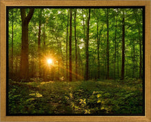 Load image into Gallery viewer, Sacred Morning