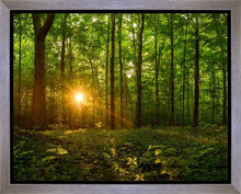 Load image into Gallery viewer, Sacred Morning