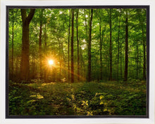 Load image into Gallery viewer, Sacred Morning