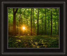 Load image into Gallery viewer, Sacred Morning