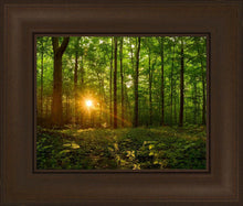 Load image into Gallery viewer, Sacred Morning