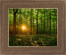 Load image into Gallery viewer, Sacred Morning
