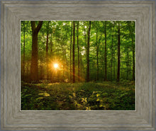 Load image into Gallery viewer, Sacred Morning
