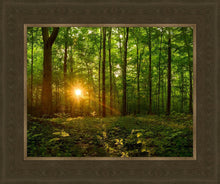 Load image into Gallery viewer, Sacred Morning