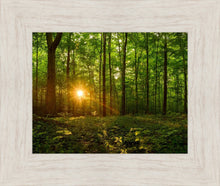 Load image into Gallery viewer, Sacred Morning