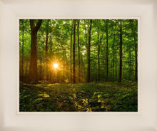 Load image into Gallery viewer, Sacred Morning