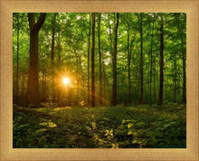 Load image into Gallery viewer, Sacred Morning