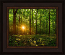 Load image into Gallery viewer, Sacred Morning