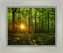 Load image into Gallery viewer, Sacred Morning