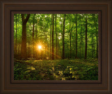 Load image into Gallery viewer, Sacred Morning