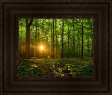 Load image into Gallery viewer, Sacred Morning