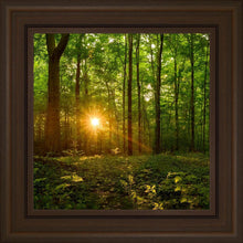 Load image into Gallery viewer, Sacred Morning