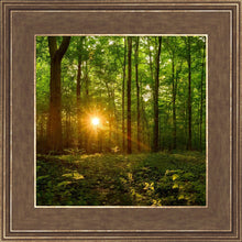 Load image into Gallery viewer, Sacred Morning