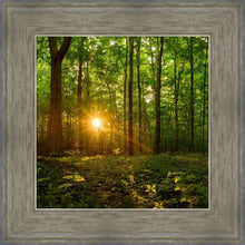 Load image into Gallery viewer, Sacred Morning
