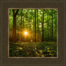 Load image into Gallery viewer, Sacred Morning