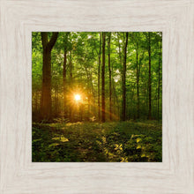 Load image into Gallery viewer, Sacred Morning