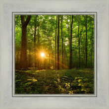 Load image into Gallery viewer, Sacred Morning