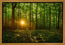 Load image into Gallery viewer, Sacred Morning