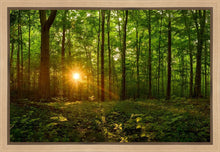Load image into Gallery viewer, Sacred Morning