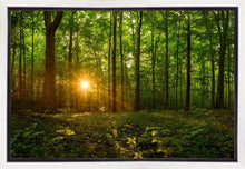 Load image into Gallery viewer, Sacred Morning