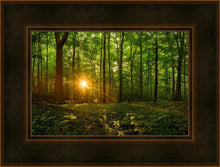 Load image into Gallery viewer, Sacred Morning