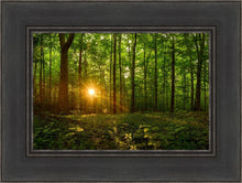 Load image into Gallery viewer, Sacred Morning