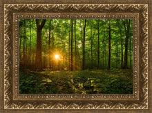 Load image into Gallery viewer, Sacred Morning