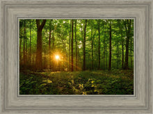 Load image into Gallery viewer, Sacred Morning