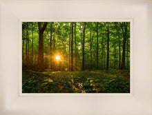 Load image into Gallery viewer, Sacred Morning
