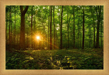 Load image into Gallery viewer, Sacred Morning