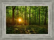 Load image into Gallery viewer, Sacred Morning