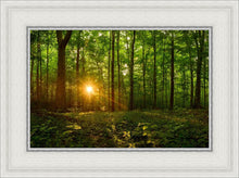 Load image into Gallery viewer, Sacred Morning