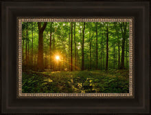 Load image into Gallery viewer, Sacred Morning