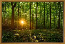 Load image into Gallery viewer, Sacred Morning