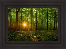 Load image into Gallery viewer, Sacred Morning