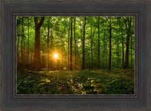 Load image into Gallery viewer, Sacred Morning