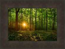 Load image into Gallery viewer, Sacred Morning