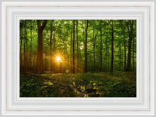 Load image into Gallery viewer, Sacred Morning
