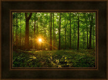 Load image into Gallery viewer, Sacred Morning