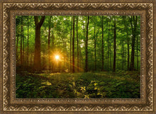 Load image into Gallery viewer, Sacred Morning