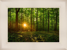 Load image into Gallery viewer, Sacred Morning