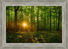Load image into Gallery viewer, Sacred Morning