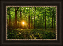 Load image into Gallery viewer, Sacred Morning