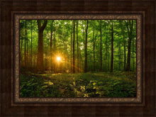 Load image into Gallery viewer, Sacred Morning