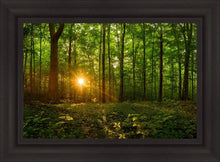 Load image into Gallery viewer, Sacred Morning