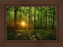 Load image into Gallery viewer, Sacred Morning